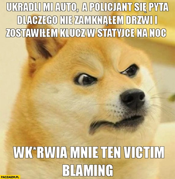 
    Pies ukradli mi auto a policjant pyta czemu nie zamknąłem drzwi i zostawiłem kluczyk w stacyjce wkurza mnie ten victim blaming
