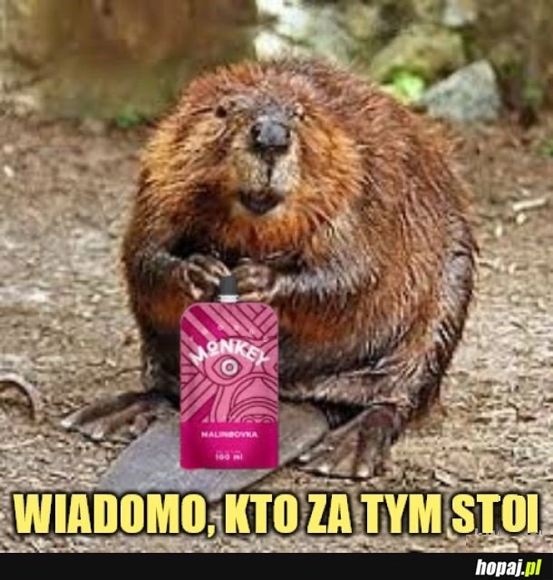 
    Wiedziałem!