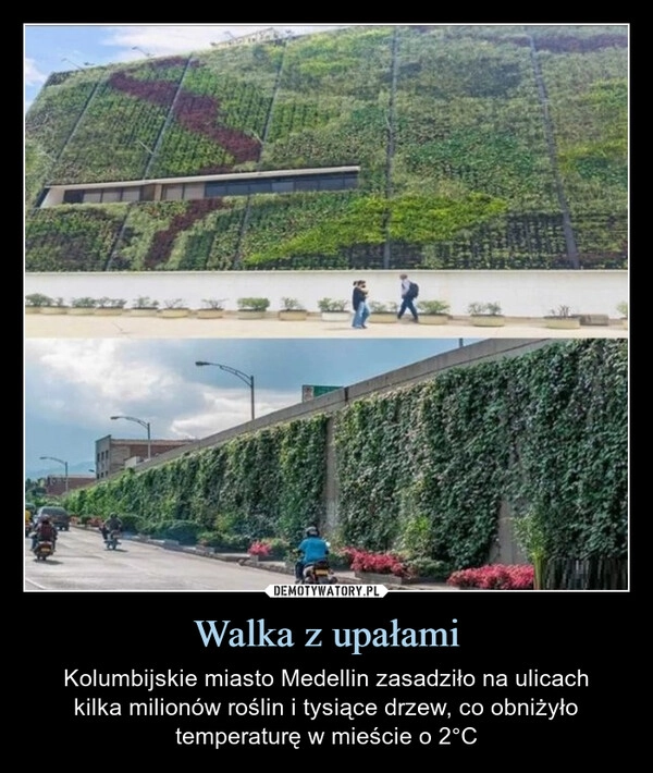
    Walka z upałami