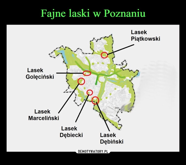 
    Fajne laski w Poznaniu