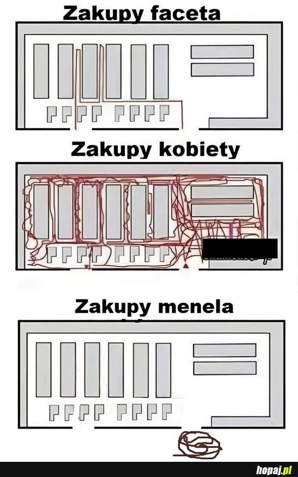 
    Jeden z nich idealnie optymalizuje liczbe kroków