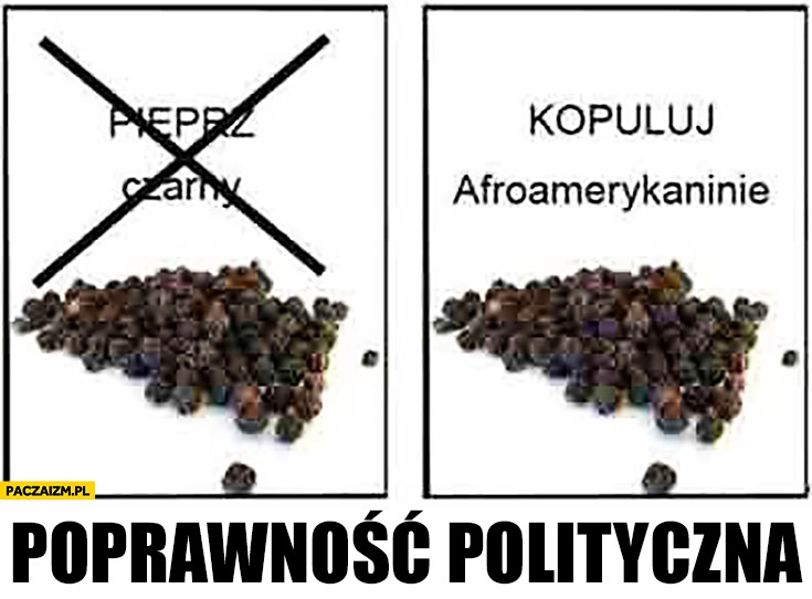 
    Pieprz czarny, kopuluj Afroamerykaninie. Poprawność polityczna