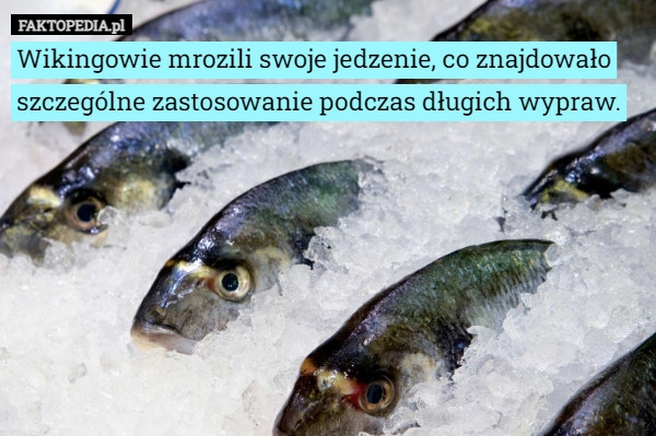 
    Wikingowie mrozili swoje jedzenie, co znajdowało szczególne zastosowanie