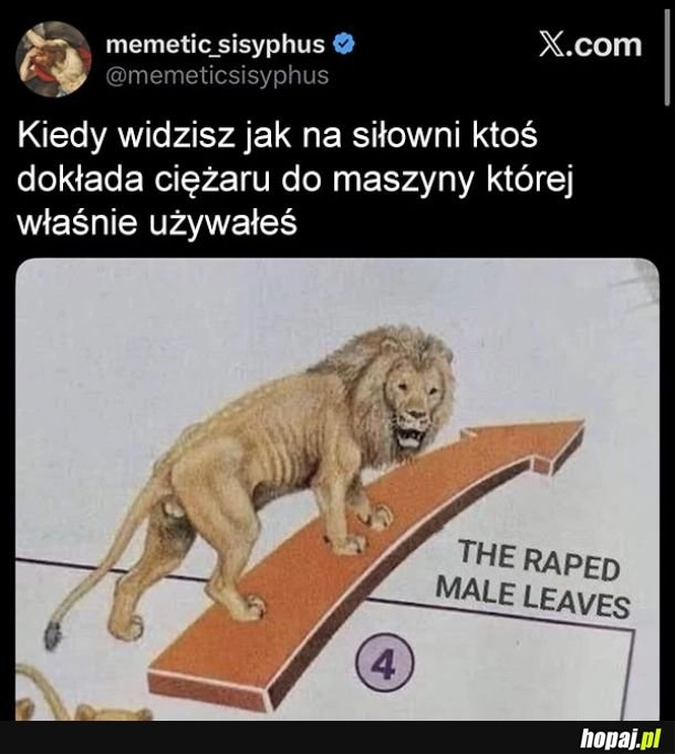 
    Auć