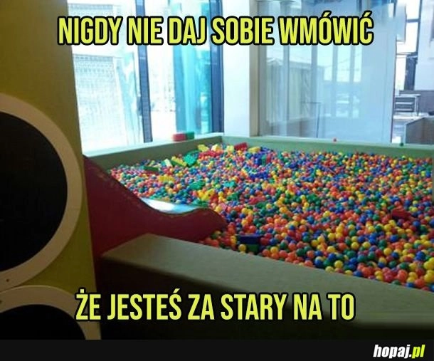 
    Tylko na te ciasne rury i zjeżdżalnie uważaj
