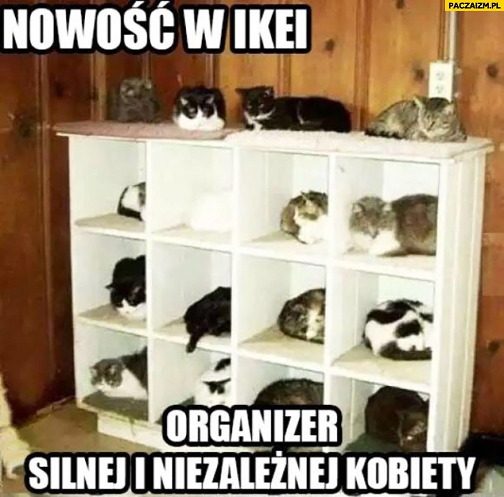 
    Nowość w Ikei: organizer silnej i niezależnej kobiety koty szafka
