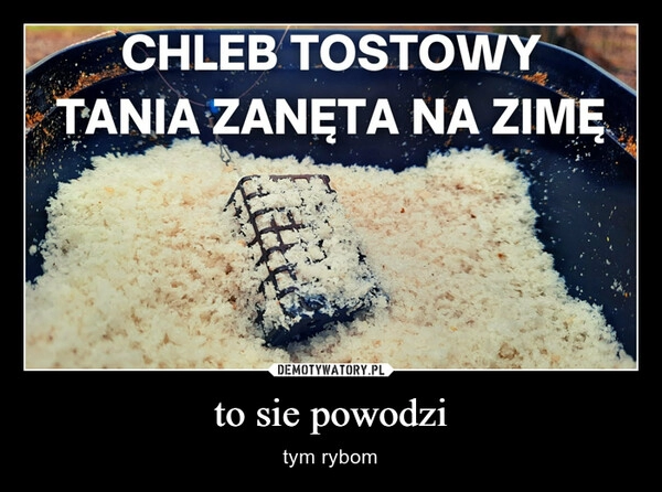 
    to sie powodzi