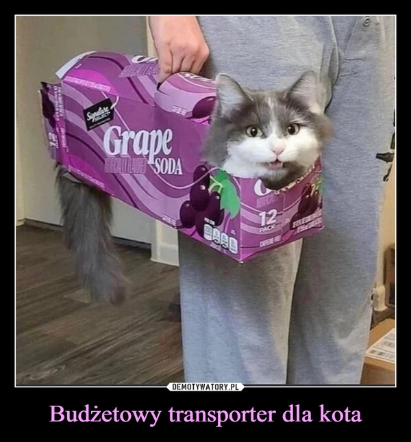 
    Budżetowy transporter dla kota