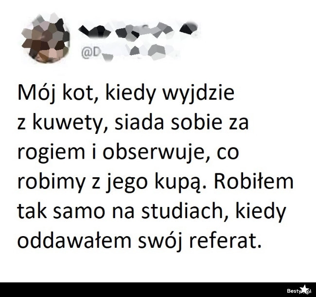 
    Kkocia obserwacja 