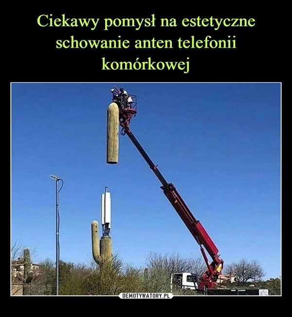 
    Ciekawy pomysł na estetyczne schowanie anten telefonii komórkowej