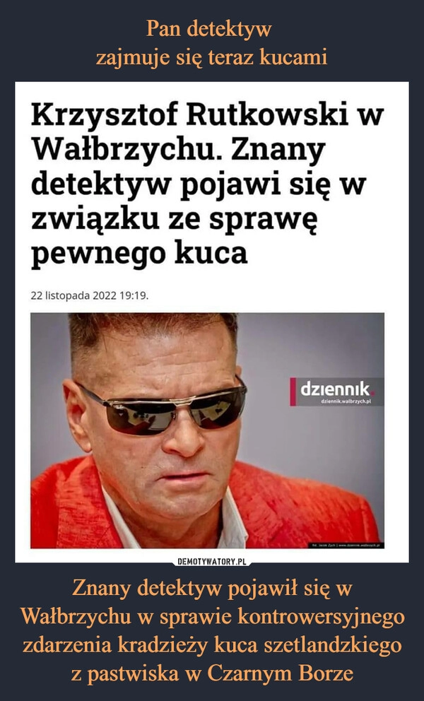 
    
Pan detektyw
zajmuje się teraz kucami Znany detektyw pojawił się w Wałbrzychu w sprawie kontrowersyjnego zdarzenia kradzieży kuca szetlandzkiego z pastwiska w Czarnym Borze 