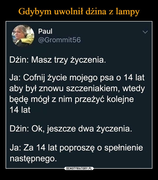 
    Gdybym uwolnił dżina z lampy