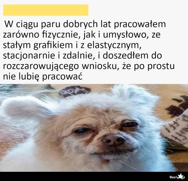 
    Proste wnioski 