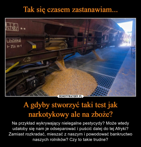 
    Tak się czasem zastanawiam... A gdyby stworzyć taki test jak narkotykowy ale na zboże?