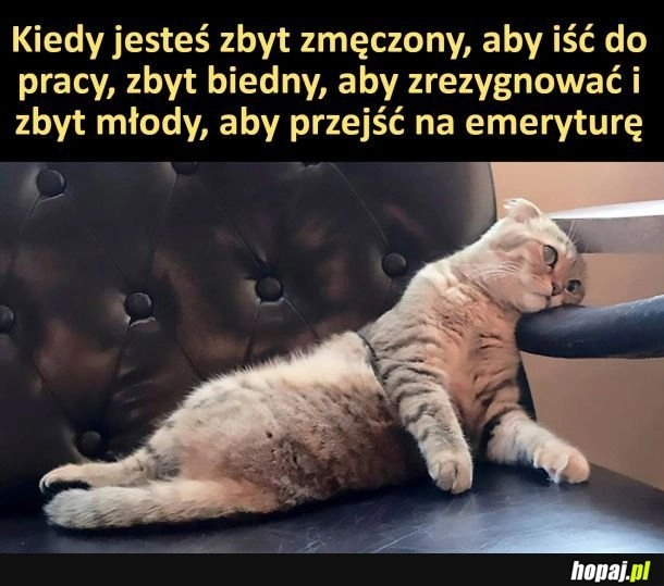 
    Załamka