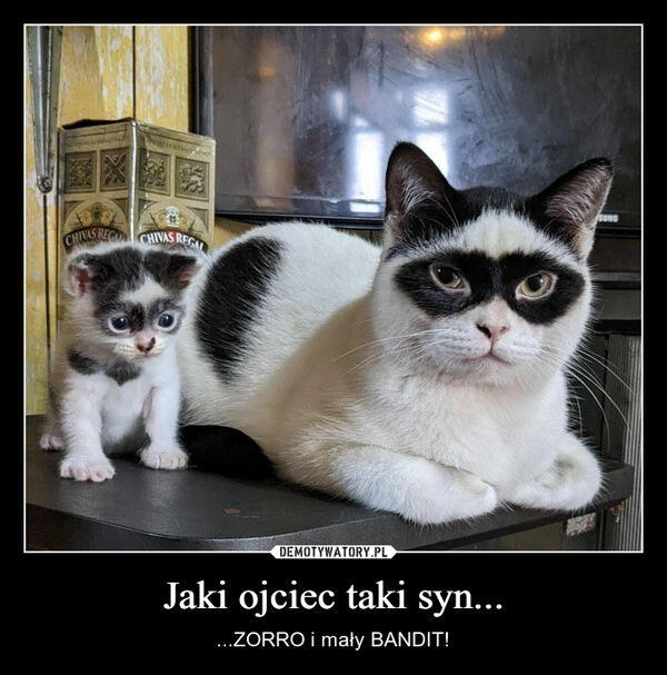 
    Jaki ojciec taki syn...