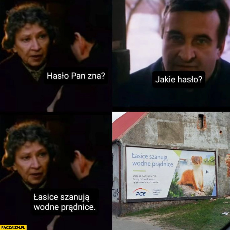 
    Hasło Pan zna? Jakie hasło? Łasice szanują wodne prądnice reklama PGE