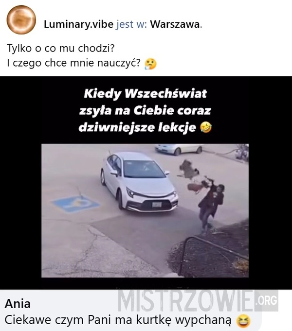 
    Ptaszor atakuje kobietę