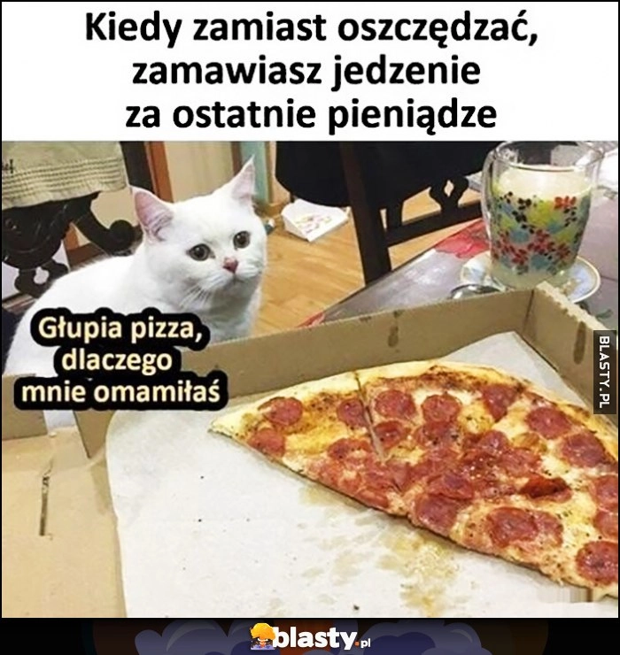 
    Kiedy zamiast oszczędzać zamawiasz jedzenie za ostatnie pieniądze kot kotek: głupia pizza dlaczego mnie omamiłaś