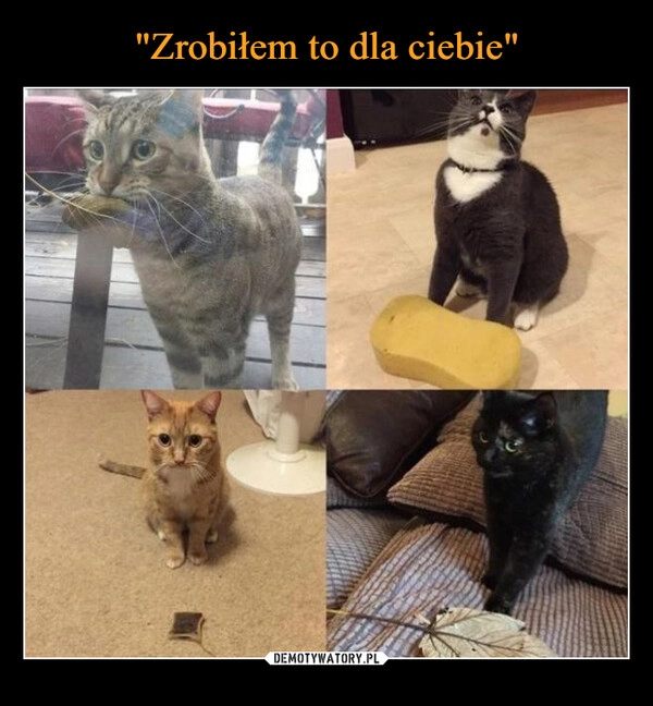 
    "Zrobiłem to dla ciebie"