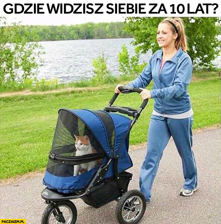 
    Gdzie widzisz siebie za 10 lat kobieta z wózkiem kot w wózku