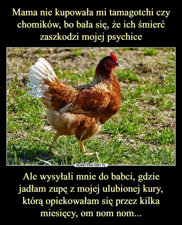 
    Mama nie kupowała mi tamagotchi czy chomików, bo bała się, że ich śmierć zaszkodzi mojej psychice Ale wysyłali mnie do babci, gdzie jadłam zupę z mojej ulubionej kury, którą opiekowałam się przez kilka miesięcy, om nom nom...