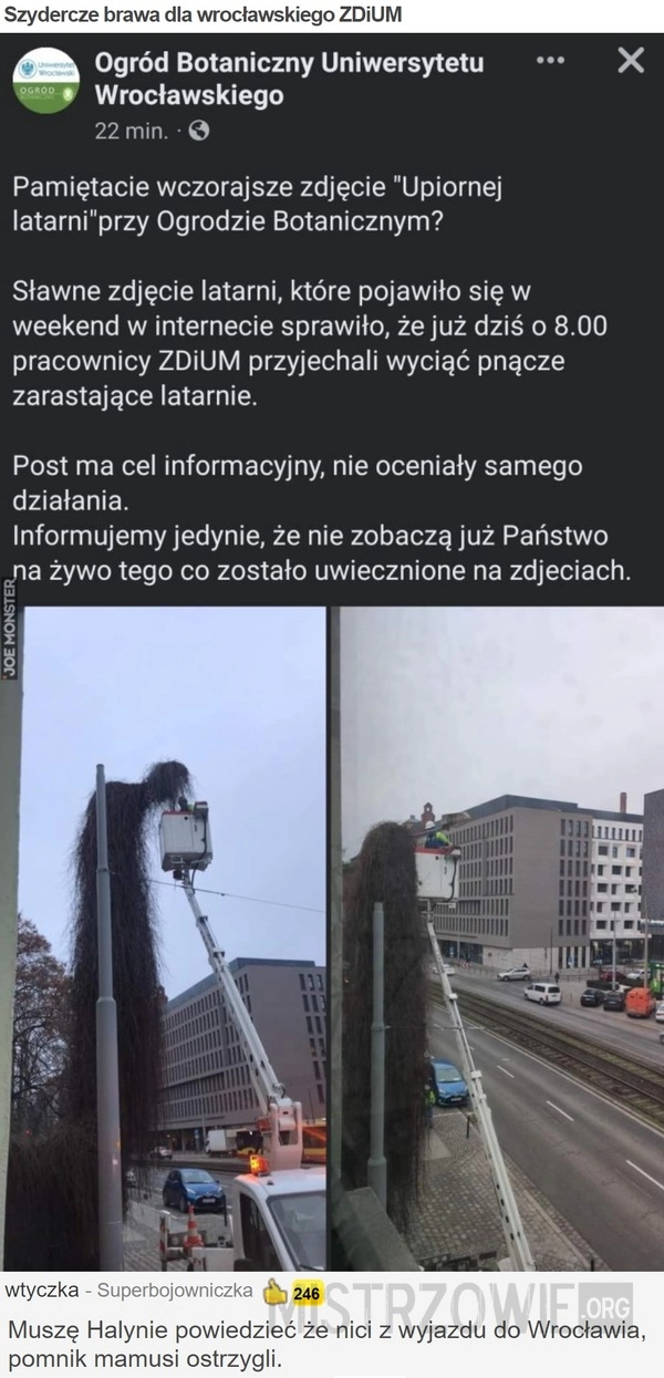 
    Szydercze brawa dla wrocławskiego ZDiUM