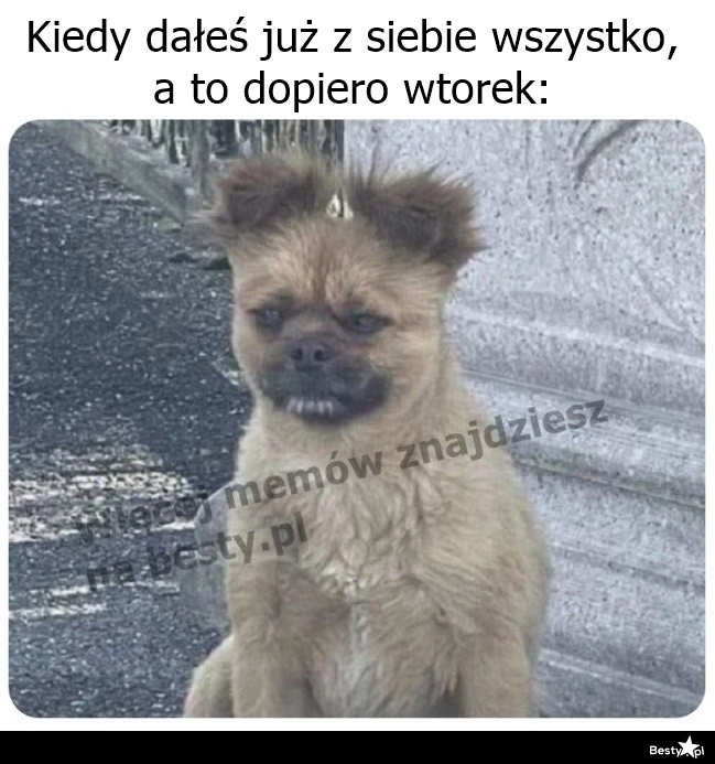 
    To by było na tyle 