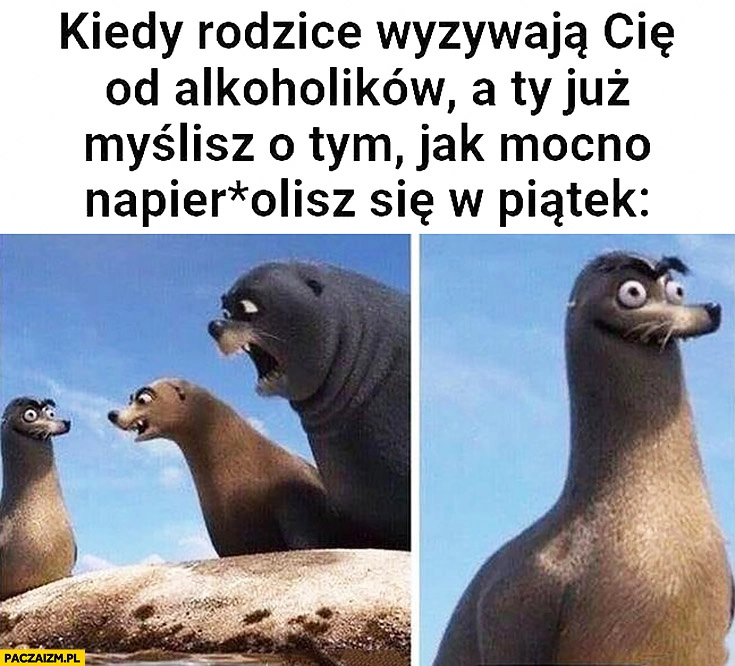 
    Kiedy rodzice wyzywają Cię od alkoholików a Ty już myślisz o tym jak mocno napierdzielisz się w piątek