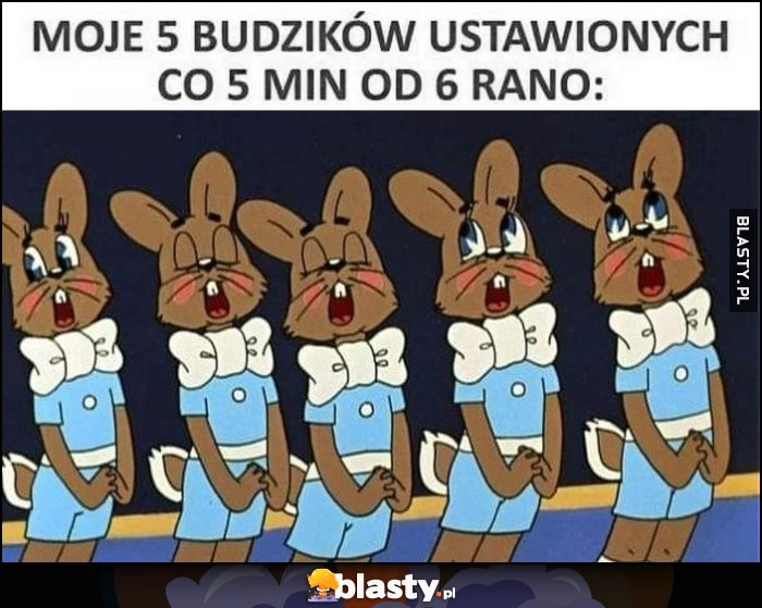 
    Moje 5 budzików ustawionych co 5 minut od 6 rano króliki króliczki