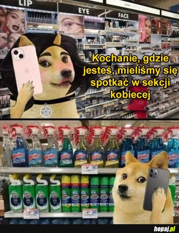 
    Sekcja kobieca