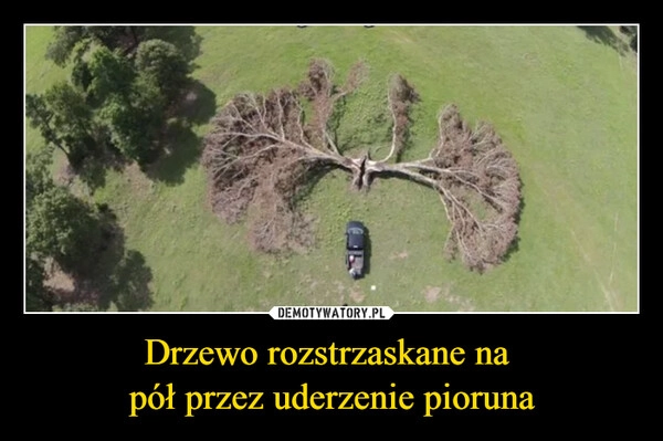 
    Drzewo rozstrzaskane na 
pół przez uderzenie pioruna