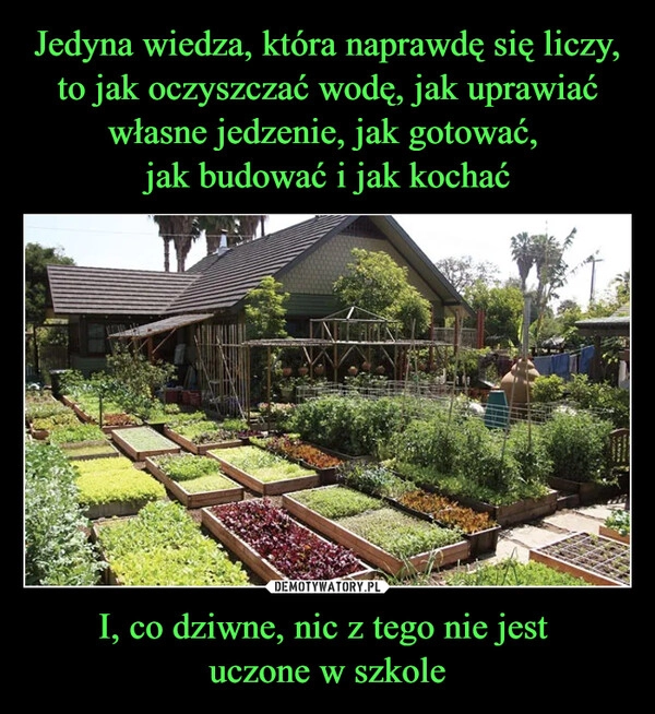 
    Jedyna wiedza, która naprawdę się liczy, to jak oczyszczać wodę, jak uprawiać własne jedzenie, jak gotować, 
jak budować i jak kochać I, co dziwne, nic z tego nie jest 
uczone w szkole