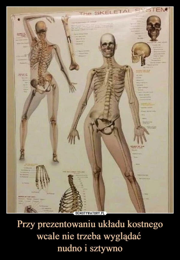 
    Przy prezentowaniu układu kostnego wcale nie trzeba wyglądać 
nudno i sztywno