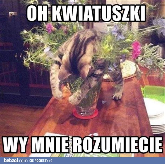 
    Och, kwiatuszki - wy mnie rozumiecie!