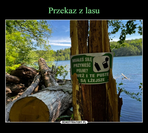 
    Przekaz z lasu