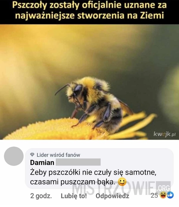 
    Pszczoły