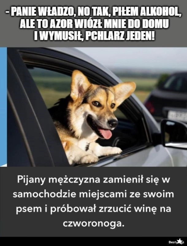 
    Nowy wymiar zrzucania winy na psa 