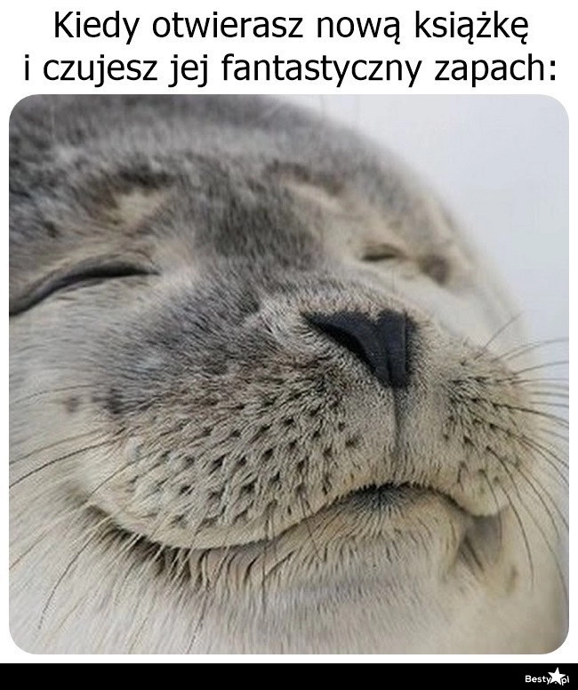 
    Koniecznie trzeba się sztachnąć 