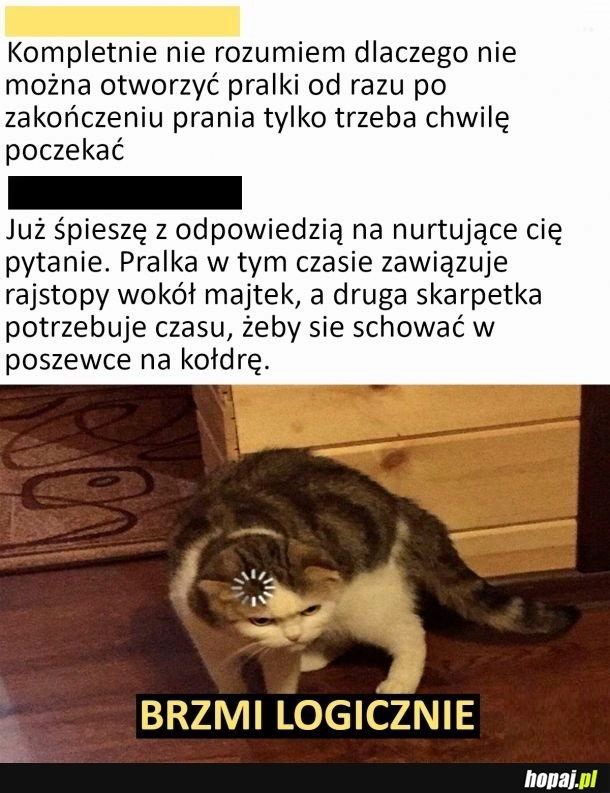 
    Brzmi logicznie