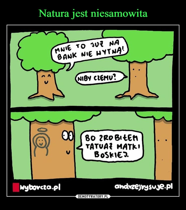 
    Natura jest niesamowita