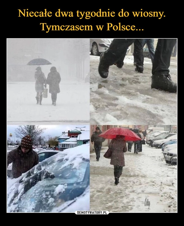 
    Niecałe dwa tygodnie do wiosny. Tymczasem w Polsce...