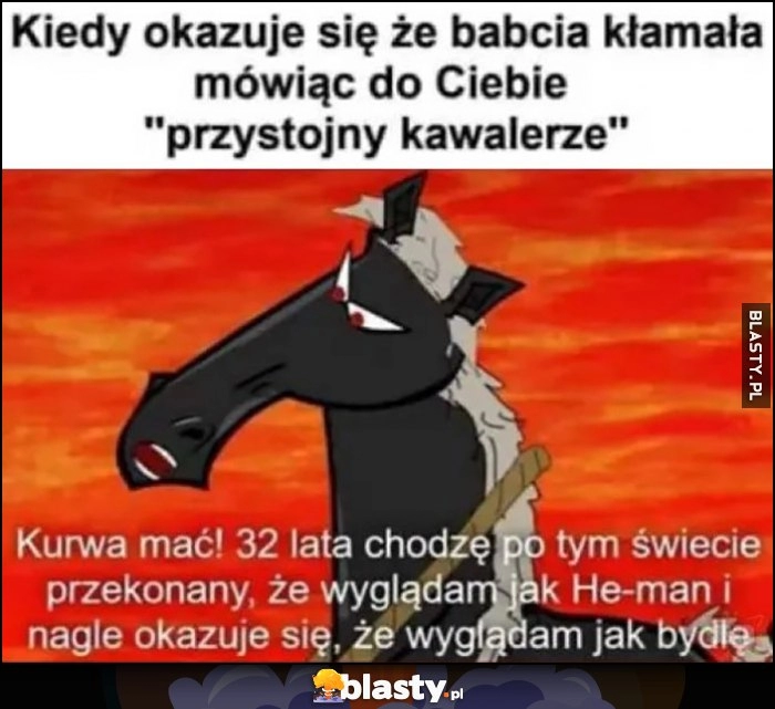 
    Kiedy okazuje się, że babcia kłamała mówiąc do Ciebie przystojny kawalerze, koń: 32 lata chodzę po świecie przekonany, że wyglądam jak He-man i nagle okazuje się, że wyglądam jak bydle