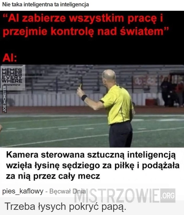 
    Nie taka inteligentna ta inteligencja