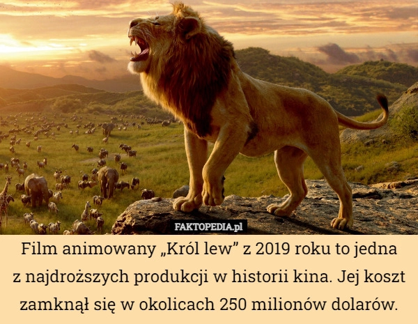 
    Film animowany „Król lew” z 2019 roku to jedna
z najdroższych produkcji