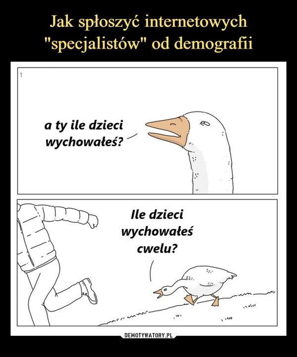 
    Jak spłoszyć internetowych "specjalistów" od demografii