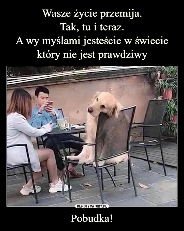 
    Wasze życie przemija.
Tak, tu i teraz.
A wy myślami jesteście w świecie który nie jest prawdziwy Pobudka!