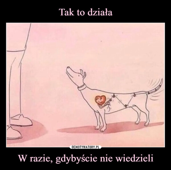 
    Tak to działa W razie, gdybyście nie wiedzieli