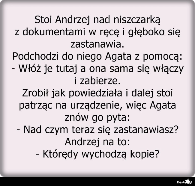 
    Pan Andrzej kontra niszczarka 