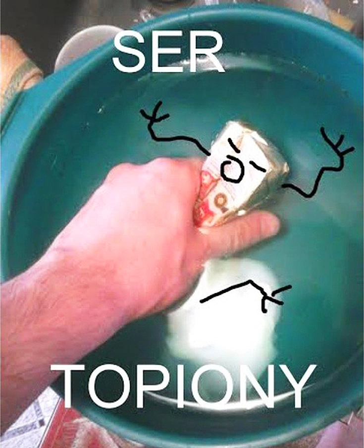 
    Ser topiony